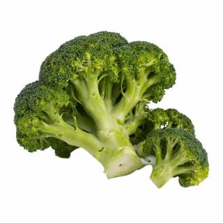 Broccoli