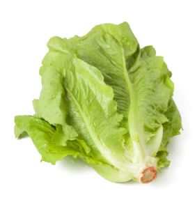 Lechuga Verde