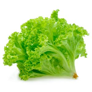 Lechuga Verde