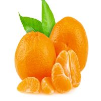 Mandarina