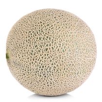 Melón de Castilla