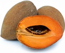 Mamey Zapote